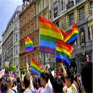 bandera arco iris colorido lgbt mano bandera gay orgullo 1pc accesorios decoración (9)
