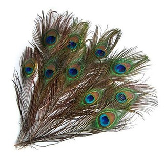 Gre 10 piezas de plumas de cola de pavo real para decoración de mascaradas