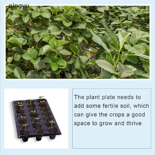 Qingyu: 5/10 unidades, 72 rejillas, bandeja de inicio, germinación de semillas, macetas calientes