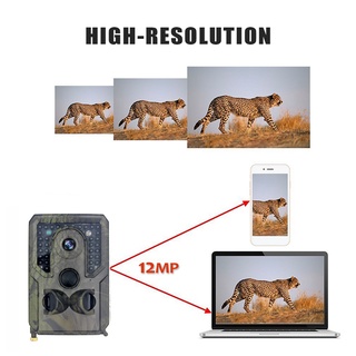 1080p hd cámara de caza animal naturaleza fauna trail juego cam visión nocturna