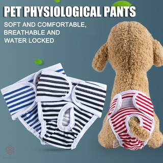 Flash mujer mascota perro reutilizable pantalones cortos sanitarios fisiológicos pantalones de menstruación bragas (1)