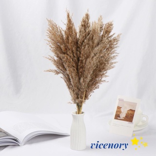 VICENORY 10x Decorative Small Pampas Grass DIY Craft Real Flower Reed Natural Dried Bouquets Shooting Props Colorful Home Decoration Wedding Decor Natural Material Plant Stems (1)
