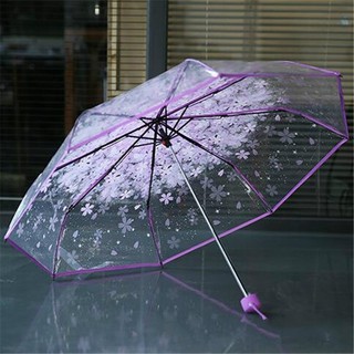 Paraguas transparente transparente flor de cerezo hongo Apollo Sakura 3 pliegues paraguas (3)