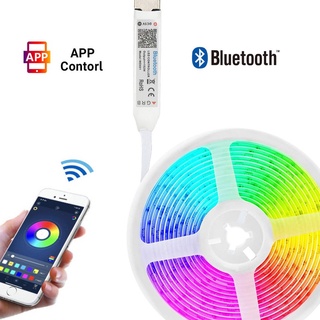 Bluetooth SMD5050 Tira De Luz LED Lámpara Flexible 0.5M 1M 2M 3M 4M 5M Cinta Diodo DC5V Pantalla De Escritorio TV Fondo Iluminación De La Habitación (1)