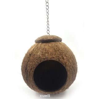 Pájaros mascota ardilla Natural cáscara de coco nido jaula loro hámster casa de dormir