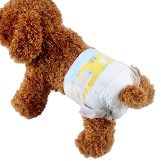 10pcs mascotas perros hembra ultra protección desechables pañales de perro productos de mascotas (8)
