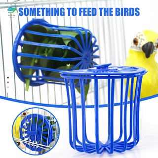 2pcs pájaros alimentador loros pájaros jaula colgante alimentos frutas cesta de verduras para loros periquitos eclectus loros