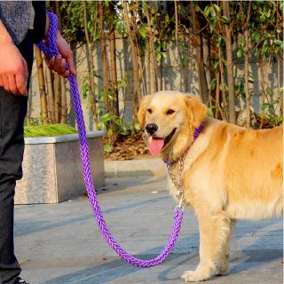 Collar De cuerda Para perros y correas Estéreo/Conjunto De collar Para perros Grandes (3)