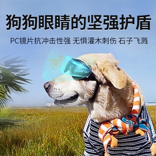 Gafas de sol para mascotas/gafas de sol para perros/lentes de sol a prueba de viento/Dou Teddy Koji/modelo de foto/accesorios para perros (1)