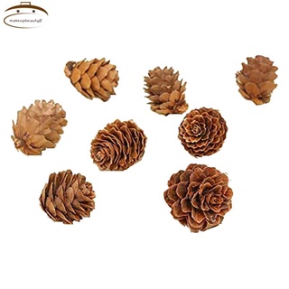 100 Pieces Mini Natural Pine Cones for Home,Fall and Christmas Crafts
