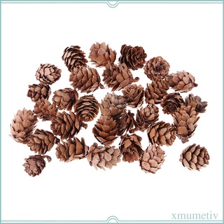 30 piezas de conos de pino seco natural, hogar de boda, manualidades, rbol de (4)