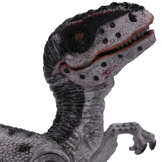 Gran tamaño salvaje vida dinosaurio juguete figuras de acción niños niño verde y jurásico Velociraptor dinosaurio acción y juguete (2)