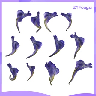 12 Pieces Of Real Dried Leaves Handmade Pressed Flower Dried Flowers For (4)