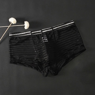Fstylefang-ropa interior bragas de cintura baja Sexy tanga de malla transparente para hombre calzoncillos tronco (2)