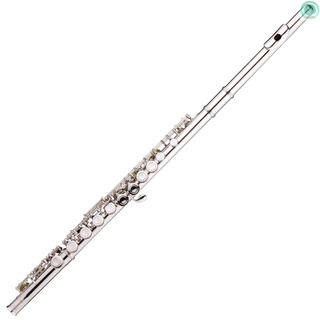 Rx Western Concert flauta chapada en níquel 16 agujeros C llave Cupronickel Woodwind instrumento con paño de limpieza palo guantes Mini destornillador bolsa acolchada