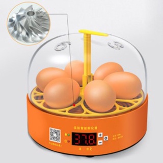 Mini Digital 6 Eggs Incubator Automatic Temperature Brooder Egg Hatcher