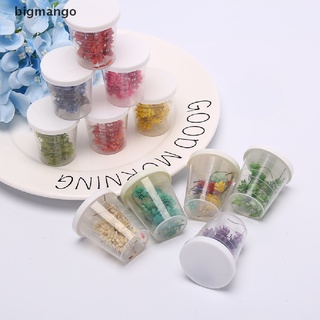 [bigmango] 1 caja prensada seca flor de uñas decoración de arte joyería DIY accesorios calientes (8)