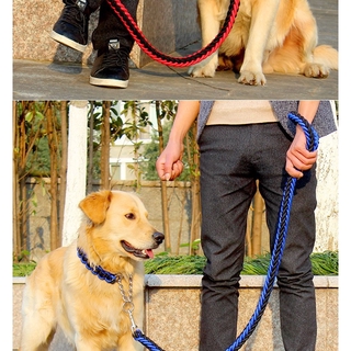 Collar De cuerda Para perros y correas Estéreo/Conjunto De collar Para perros Grandes (7)
