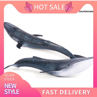 CFMXWJ 27cm Simulation Whale Ocean Sealife Animals PVC Model Kids Learning Toy Gift
